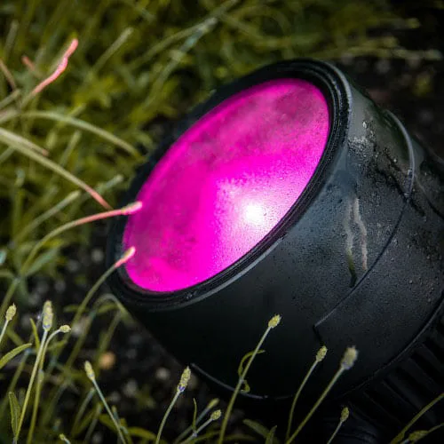 Teatros iluminados: luces par led Cameo Zenit